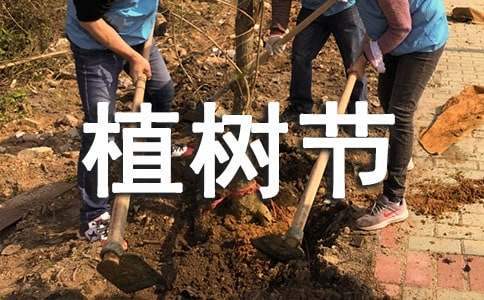 小学生植树节活动方案 小学生植树节活动方案设计